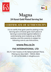 FNS Magna Pro 6 pcs serving Spoon set with Leatherite Box